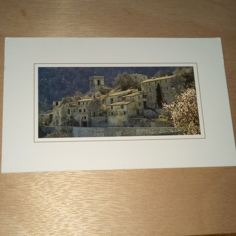 Vintage Italian Postcard